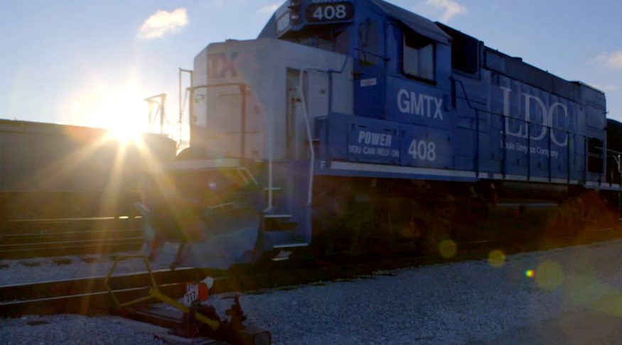 Louis Dreyfus to buy Chinese oilseed firm from Singapore's Golden Agri