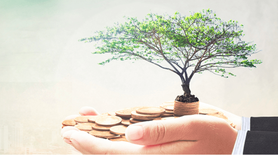India Digest: Blacksoil NBFC, Mufin Green Finance snag funding