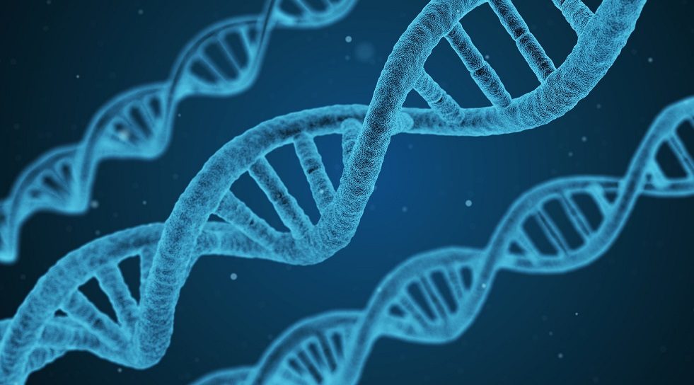 China Digest: Baidu Ventures-backed Qitan nets over $14m; Sequoia invests in Syrius