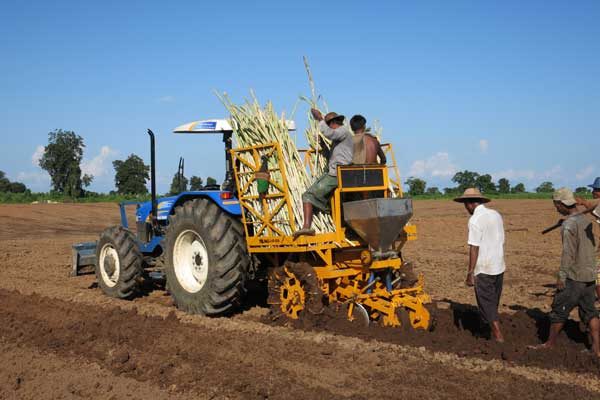 Myanmar Sugar Development Co to invest $20m in first phase of project