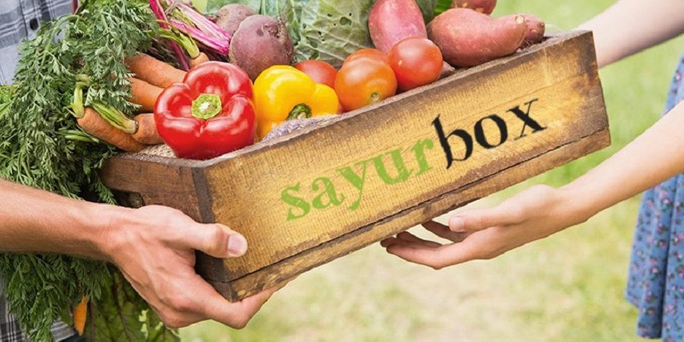 Indonesia's Tokopedia said to close investment in agritech startup Sayurbox
