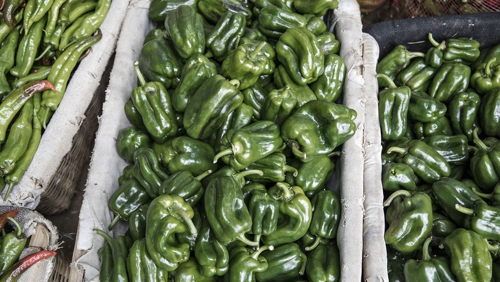 Asia Digest: SGInnovate invests in DiMuto; 500 TukTuks backs 10 startups