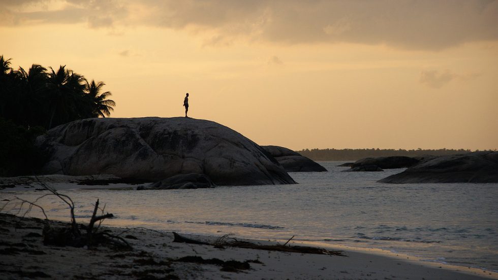 IFC likely to extend $15m debt to Sri Lanka’s SDB to support SME lending