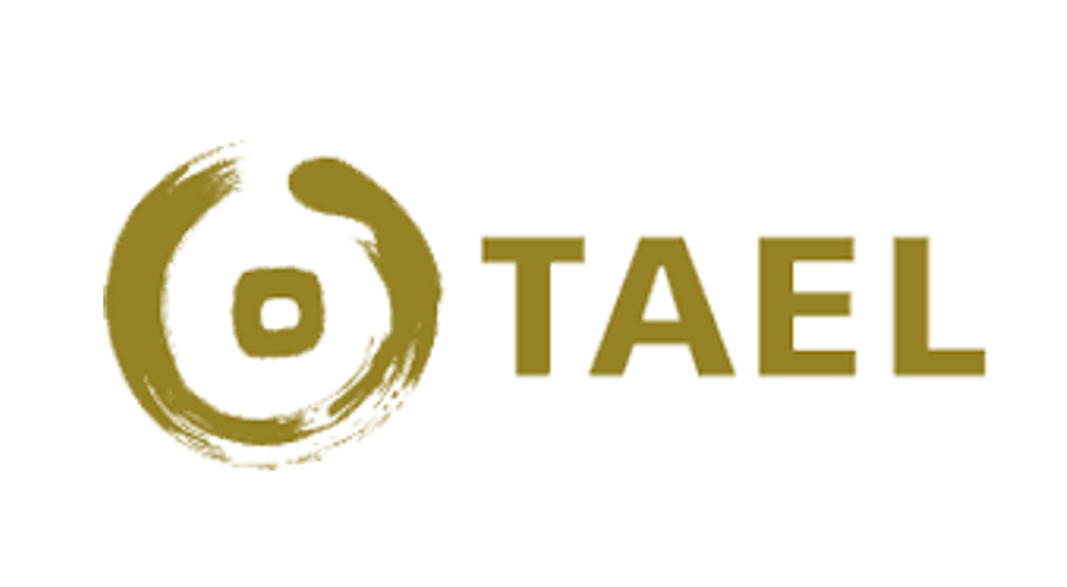 PE firm TAEL's co-investment fund to make first close at $100m in April
