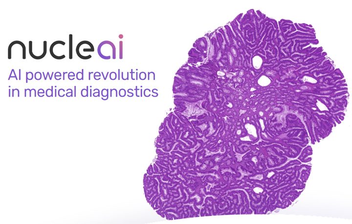 Vertex Ventures Israel co-leads $5m seed round in cancer detection startup Nucleai