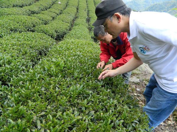 Taiwan’s student-founded agritech startup TSSE raises $3m in Series A