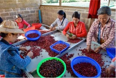 Mandalay Coffee Group secures $596K loan from Yoma Bank