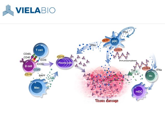 US biotech firm Viela Bio raises $250m in Temasek-backed Series A