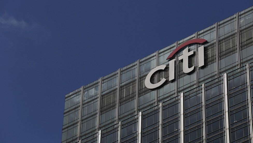 Citigroup looks to Ant Financial success as model in Google tie-up