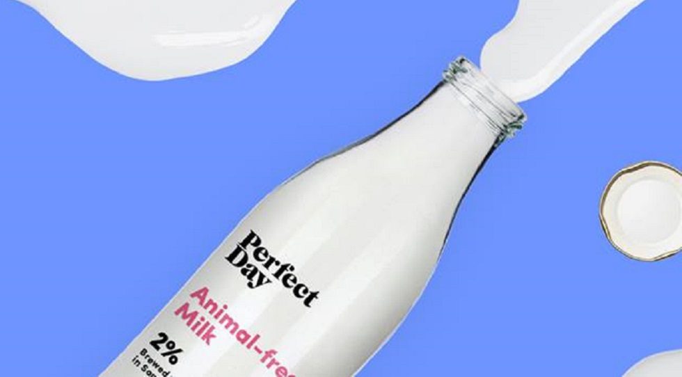 Temasek leads $24.7m round in US-based animal-free dairy firm Perfect Day