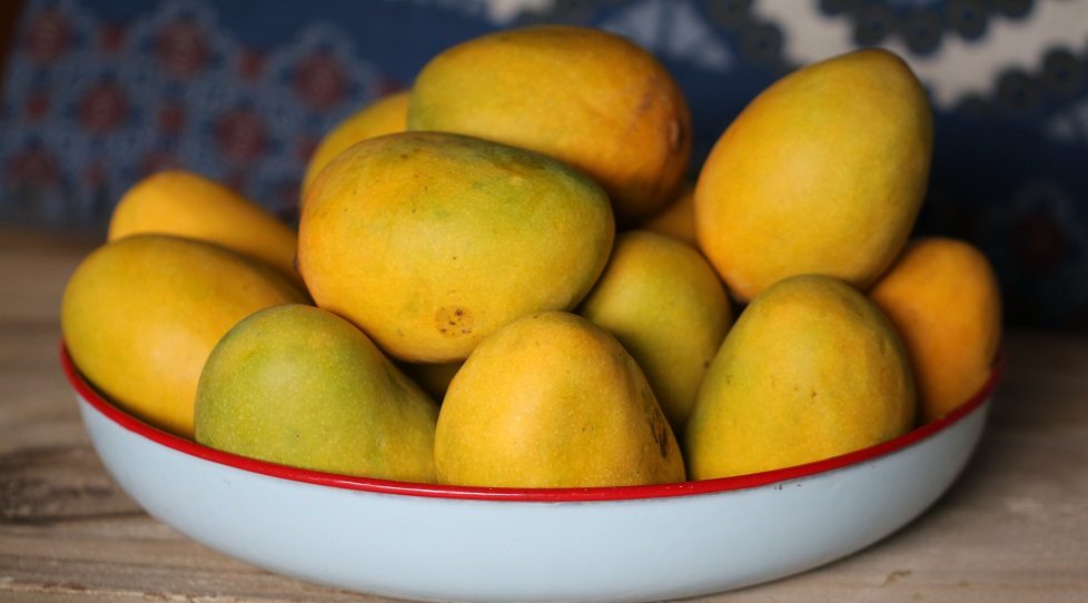 IFC mulls extending $50m financing to Bangladesh’s agribusiness firm PRAN