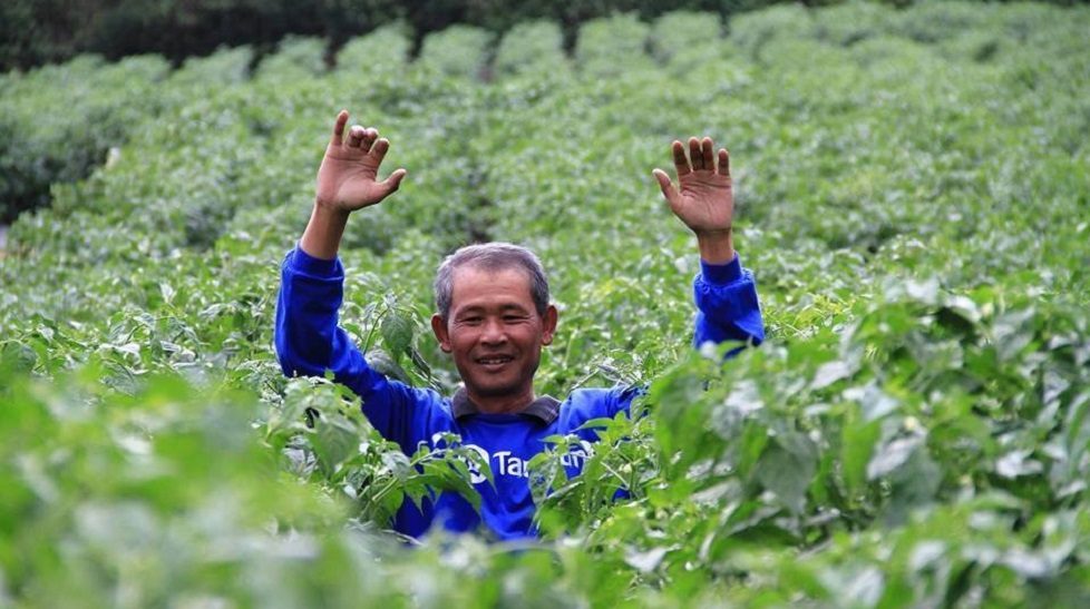 Indonesia: Alpha JWC backs agritech startup TaniGroup's pre-Series A round