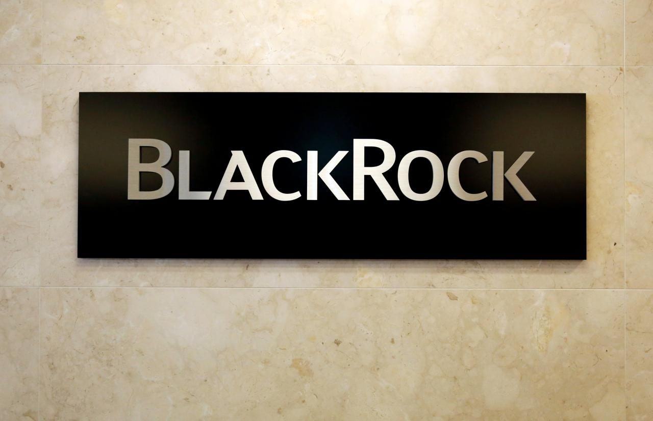 BlackRock's Fink says crypto technology still relevant despite FTX