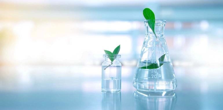 China Digest: Arctic Vision raises $32m; Topgen snags $17m