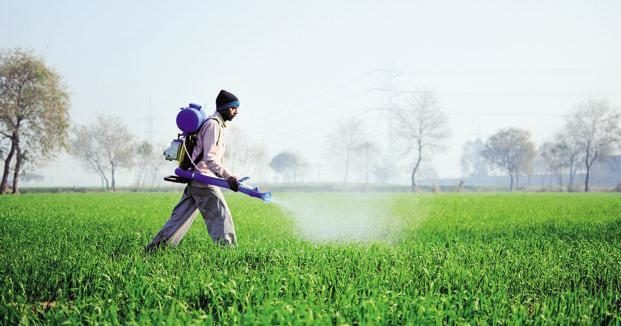 Ahead of IPO, India Pesticides raises $32m from Wells Fargo, ADIA, other investors