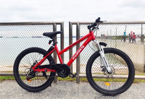 ShareBikeSG becomes third bike-sharing firm to exit Singapore market