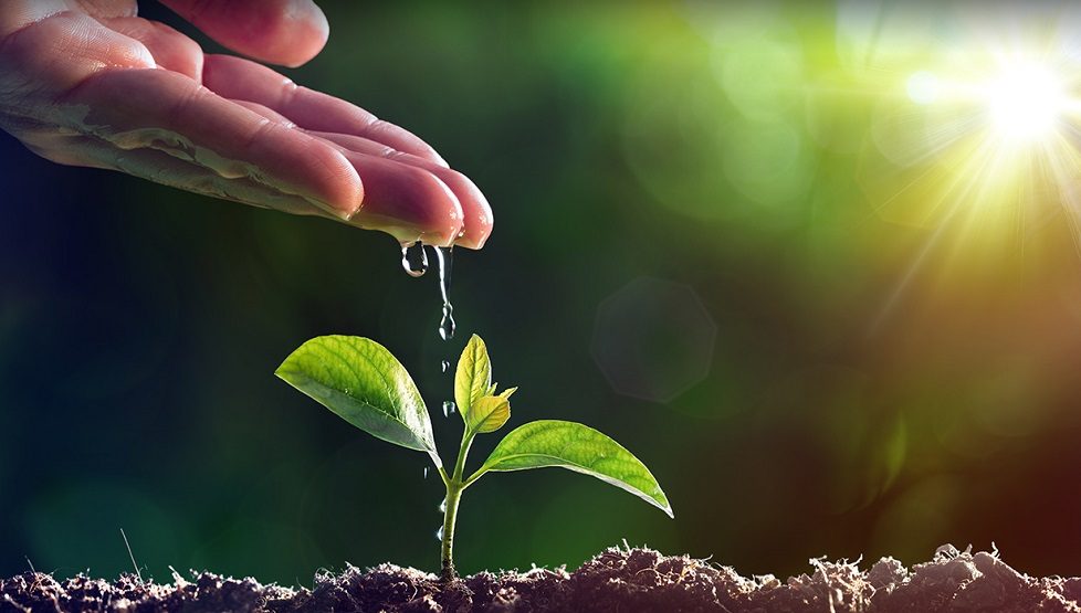 Asia Digest: Lightspeed launches EE third edition; SOSV ties up with KISED