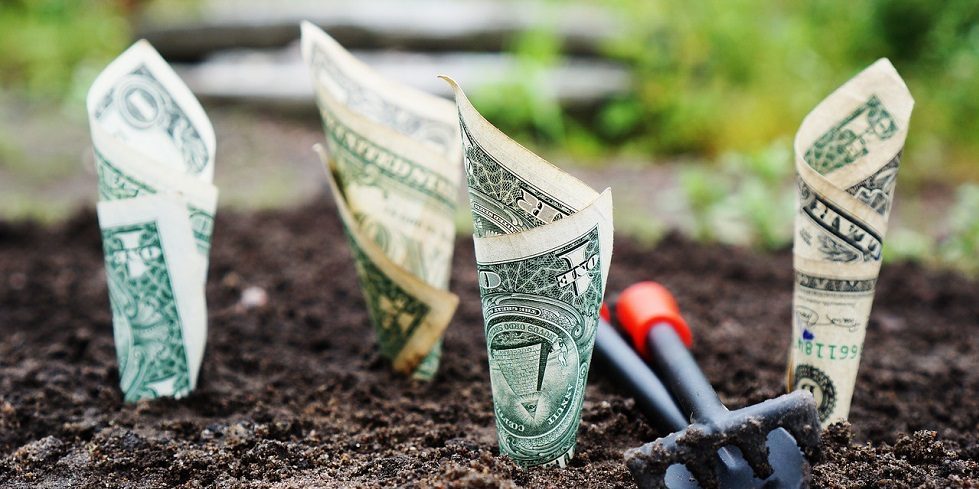 China's Yingke PE raises nearly $1.6b for new RMB fund, days after closing USD fund