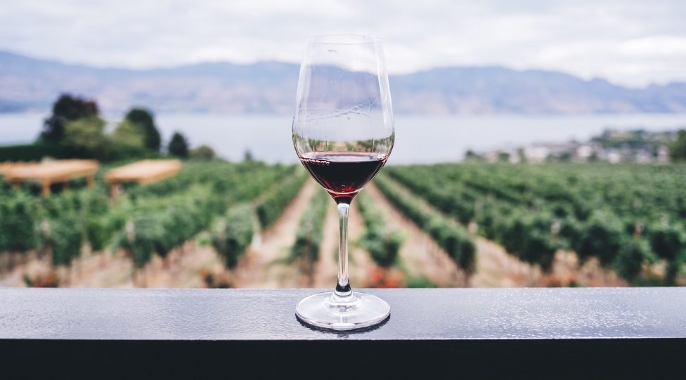 SoftBank's Fortress to acquire Majestic Wine's retail & commercial units