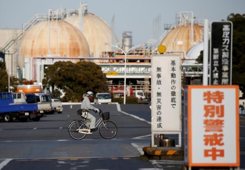 Japan's Fuji Oil to buy US chocolate maker Blommer