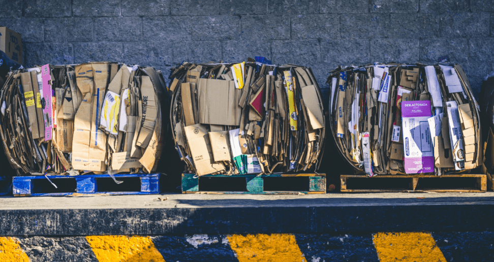 Singapore's Circulate Capital is dedicating half of its $106m “ocean fund" to India