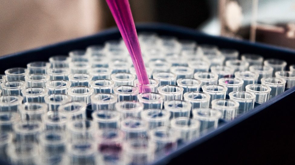 J&J-backed cell therapies developer Legend Biotech files for Nasdaq IPO