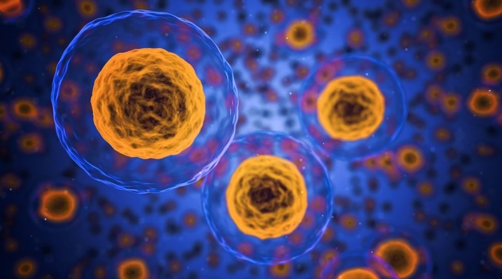 SG Digest: EDBI, Vertex back ElevateBio; IoT Tribe selects 12 startups