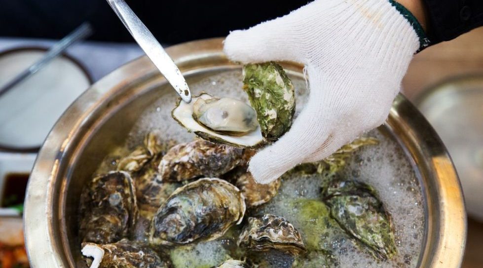 Chinese companies evince interest in buying Japan's General Oyster