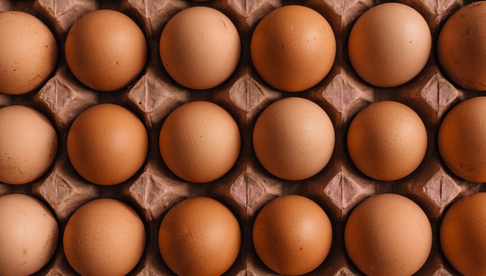 Chinese egg brand Yellow Swan nets $95m in Series C funding round