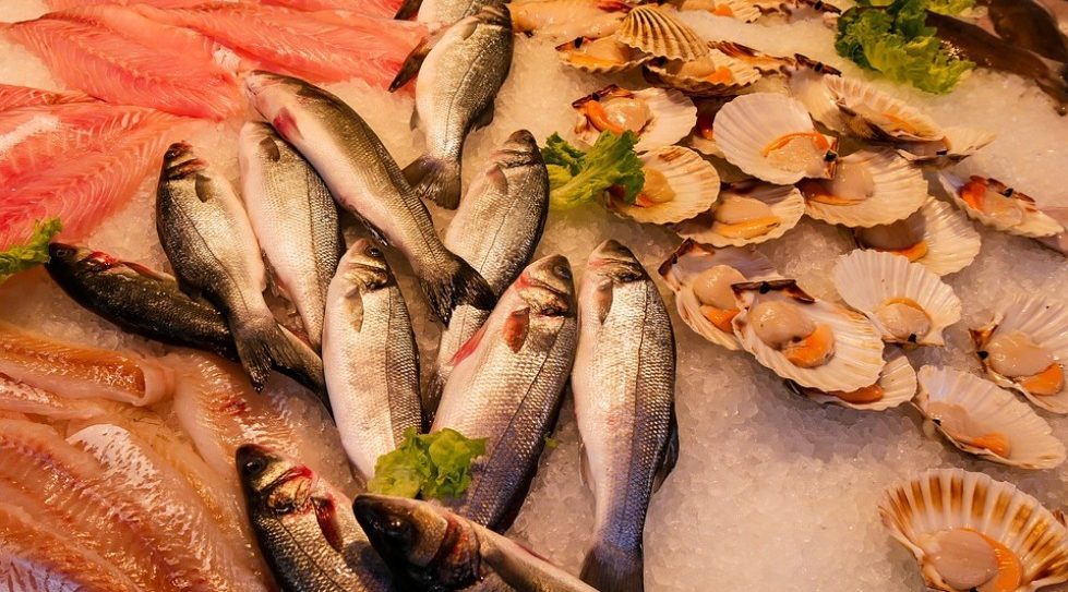 India: Tiger Global-backed B2B fish firm Captain Fresh hooks $25m funding