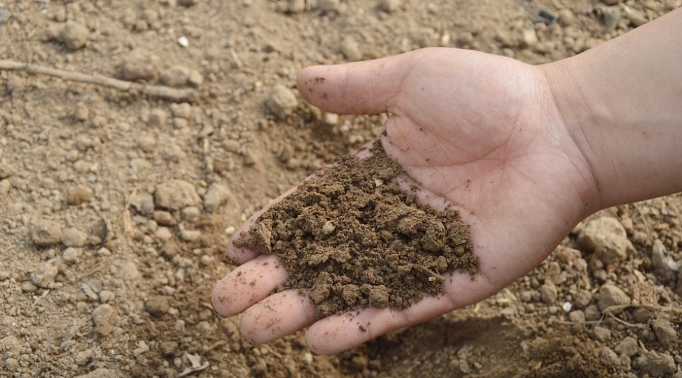 IFC proposes to invest up to $60m in India's Deepak Fertilisers