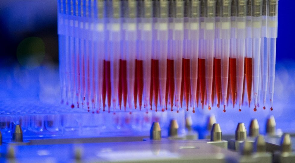 Shanghai's Viva extends HK biotech party in city's hottest 2019 IPO