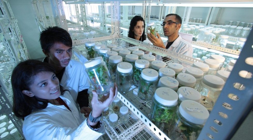 SG's Vickers Venture leads $11m funding in biotech firm Emergex Vaccines