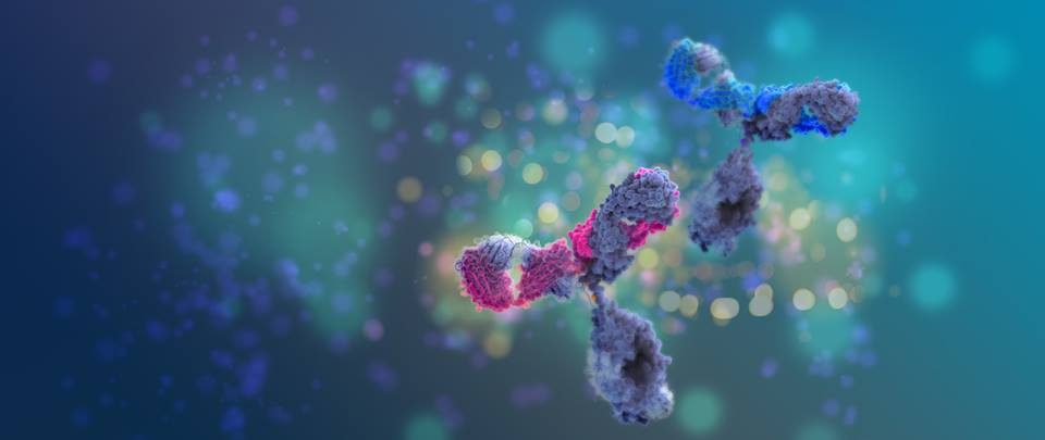 Hummingbird Bioscience hits drug development milestones, clinical stage status to attract more investors
