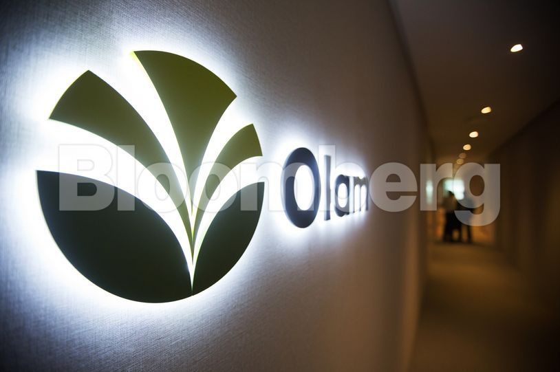 SG's Olam expects delay in IPO of its food ingredients unit