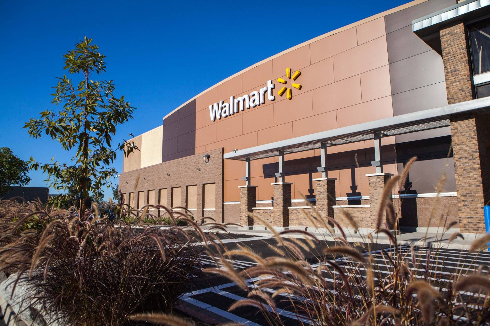 US retail giant Walmart lays off India execs, plans restructuring