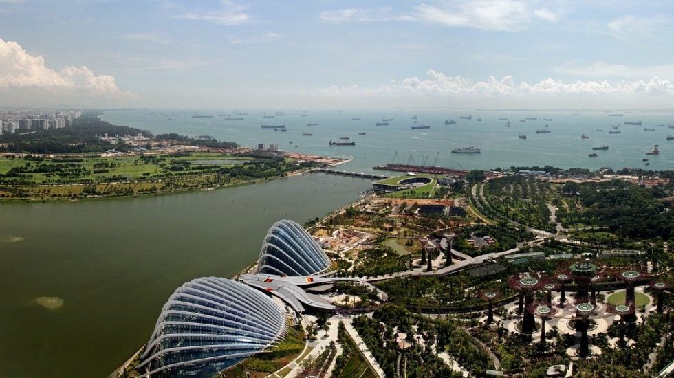 Singapore's enhanced support amid tighter restrictions a lifeline for startups