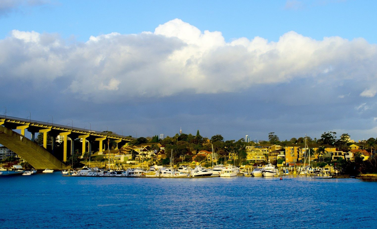 SC Capital purchases Sydney-based office tower for $72m