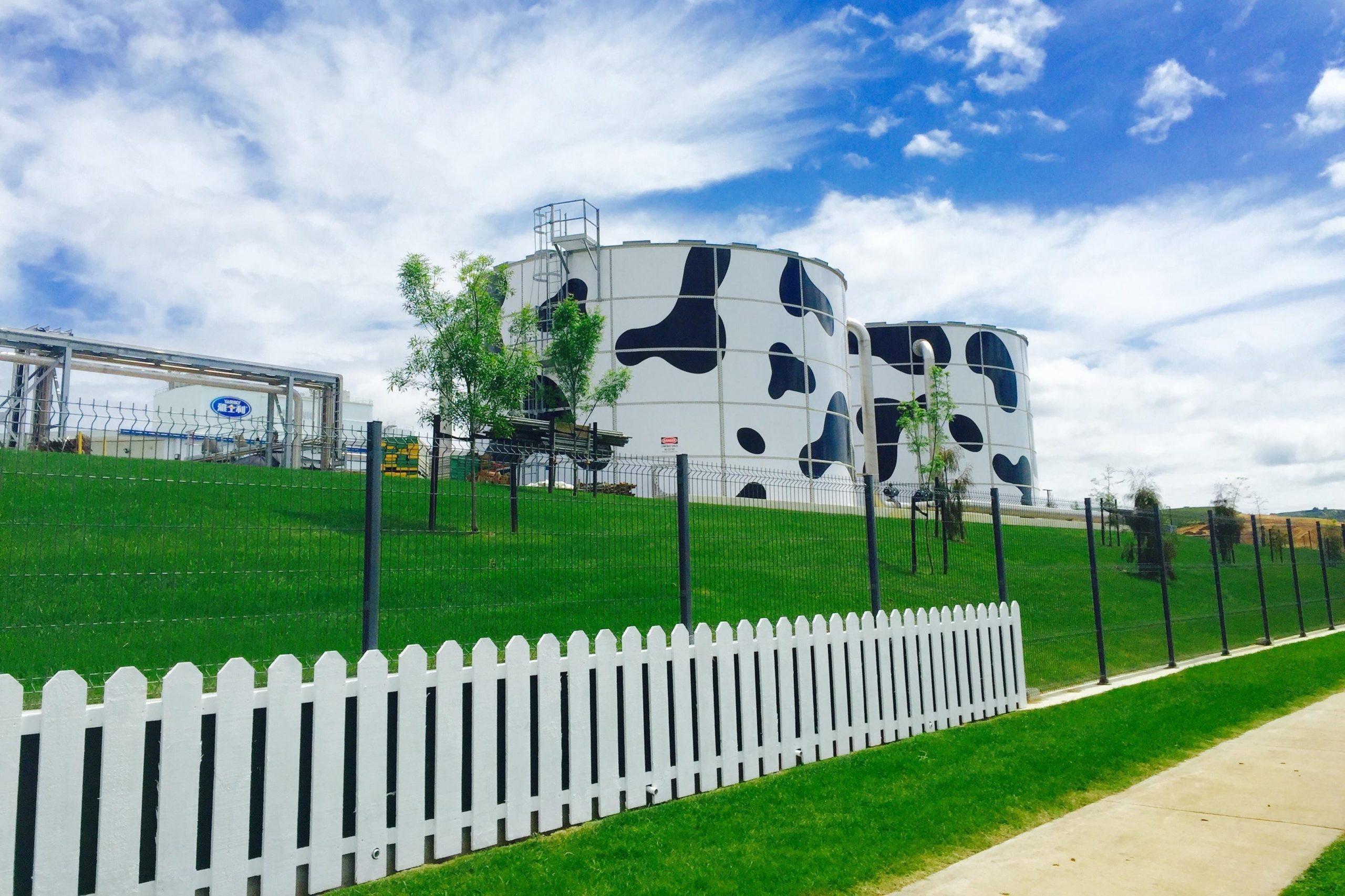 Australia govt likely to block China Mengniu's dairy firm purchase