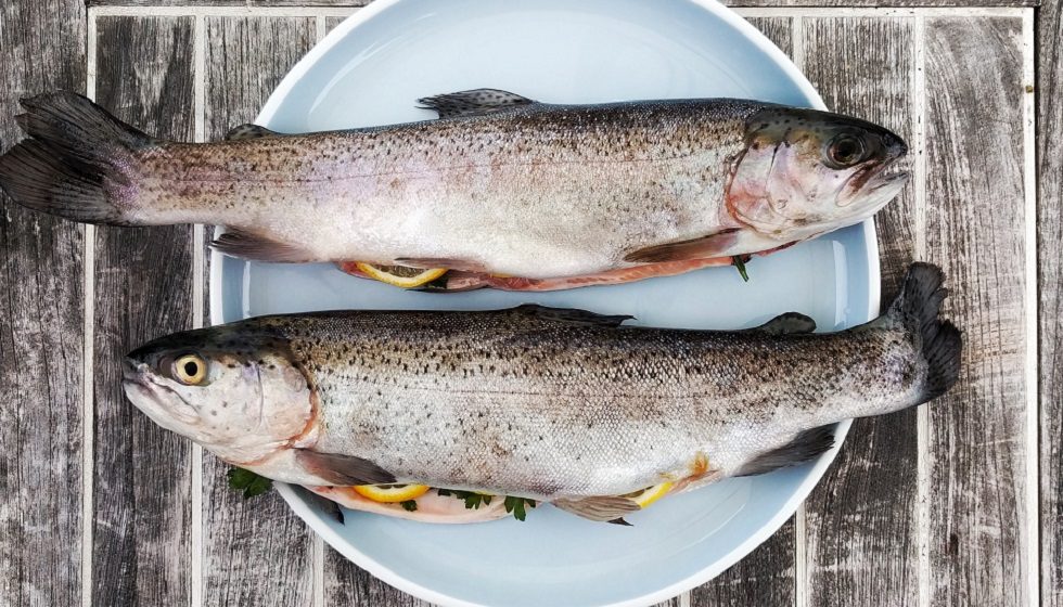 Fishery tech hooks investors as virus outbreak boosts food security concerns