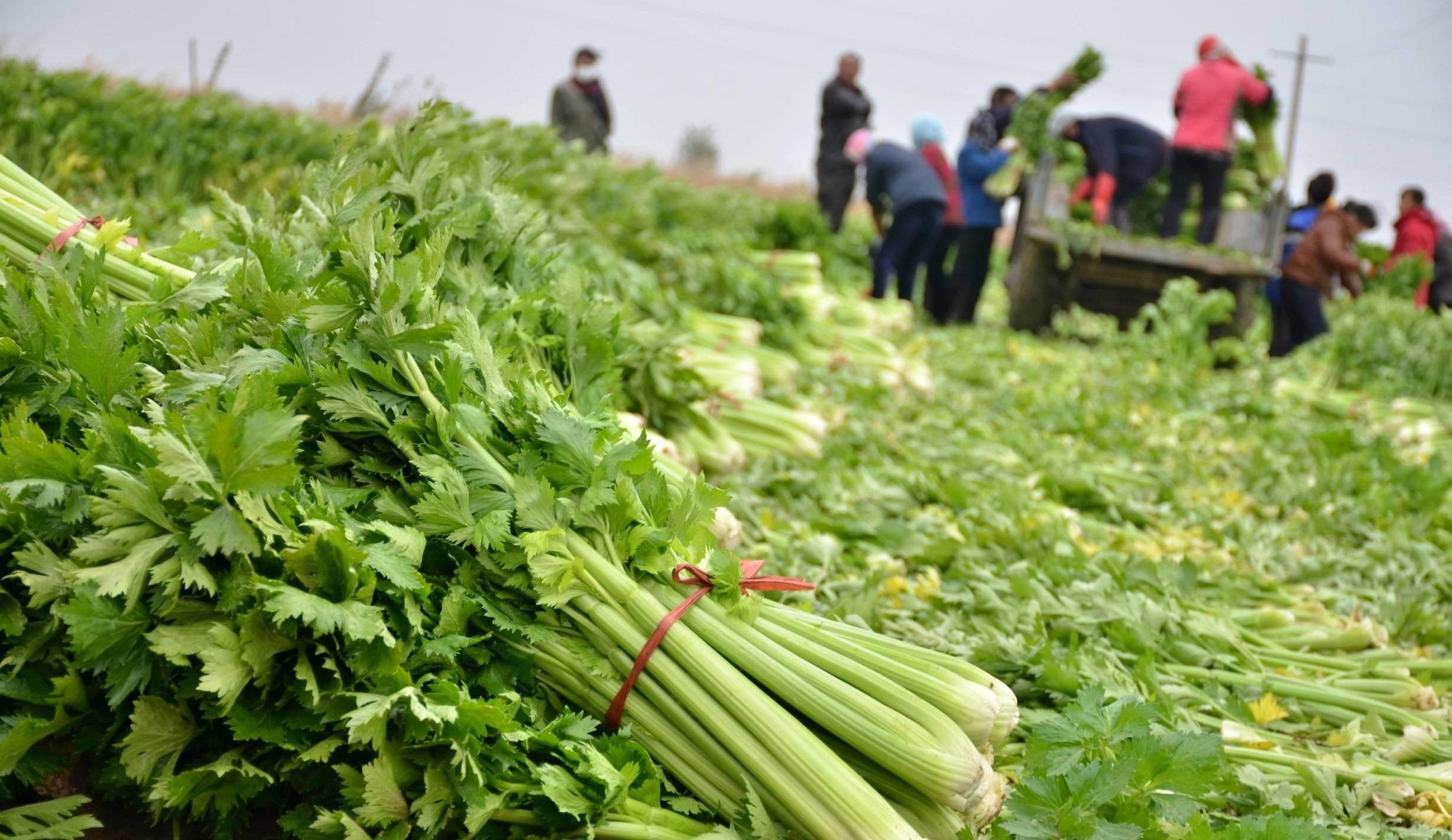 Crop protection company ADAMA picks 50% stake in Huifeng unit for $53m