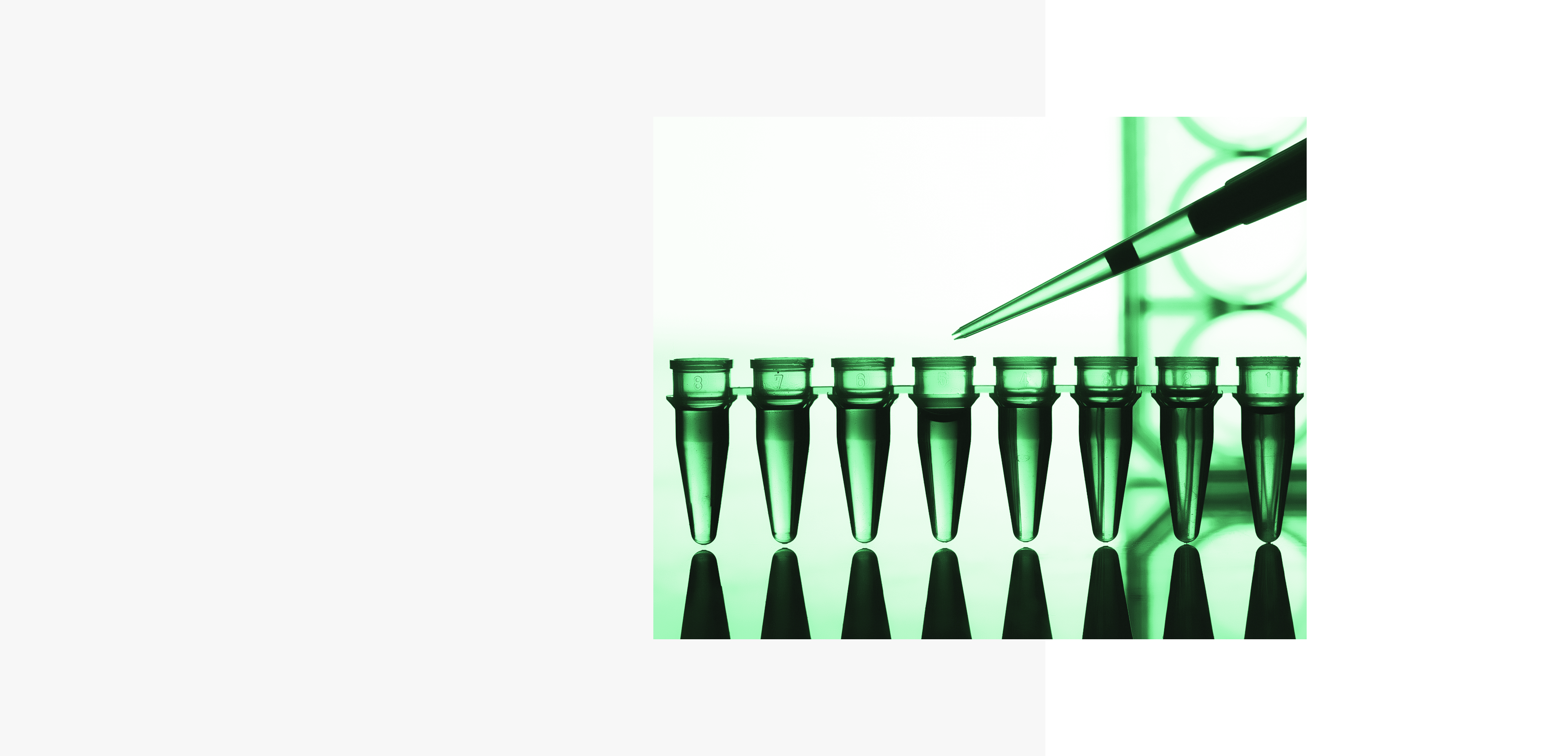 China Digest: Cyagen snags $41m; Alibaba-backed Amwise raises $10m