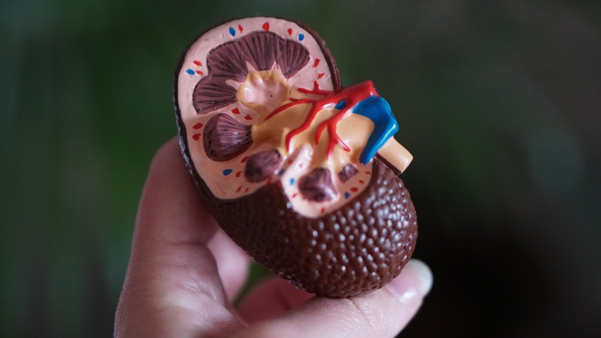 How Singapore's medical device startup AWAK is disrupting kidney dialysis