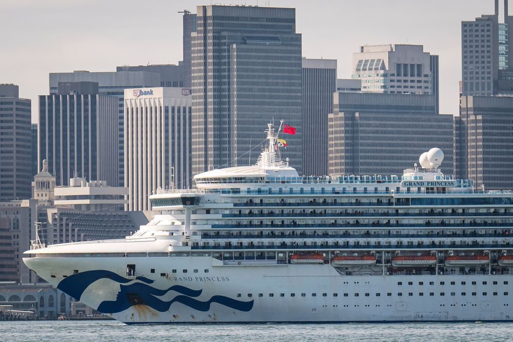 Saudi fund picks up 8.2% stake in cruise company Carnival
