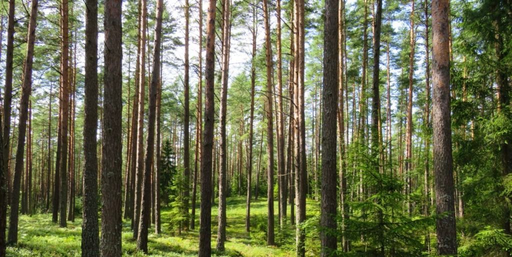 India Digest: Blue Planet receives $35m funding; Hero MotoCorp ups stake in Ather; Farmley raises $6.7m