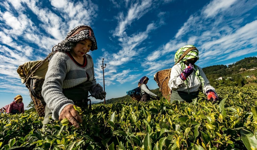 How big tech is helping agri startups and farming community