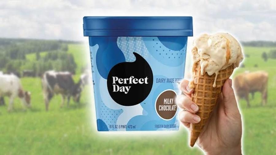 Perfect Day nabs additional capital in Series C round from CPP Investments, others