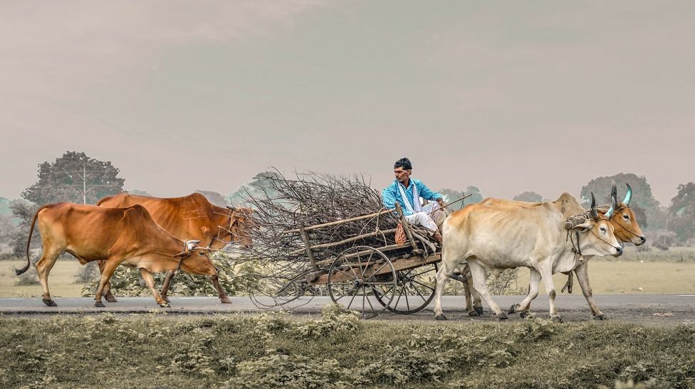 Sequoia-backed agritech startup DeHaat taps franchise route for smart fields