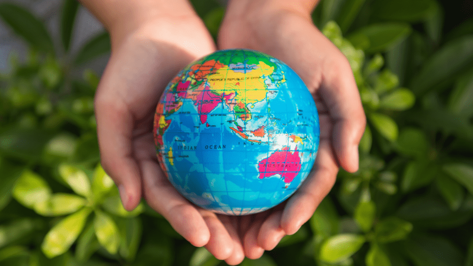 Five investor perspectives that matter for 2024