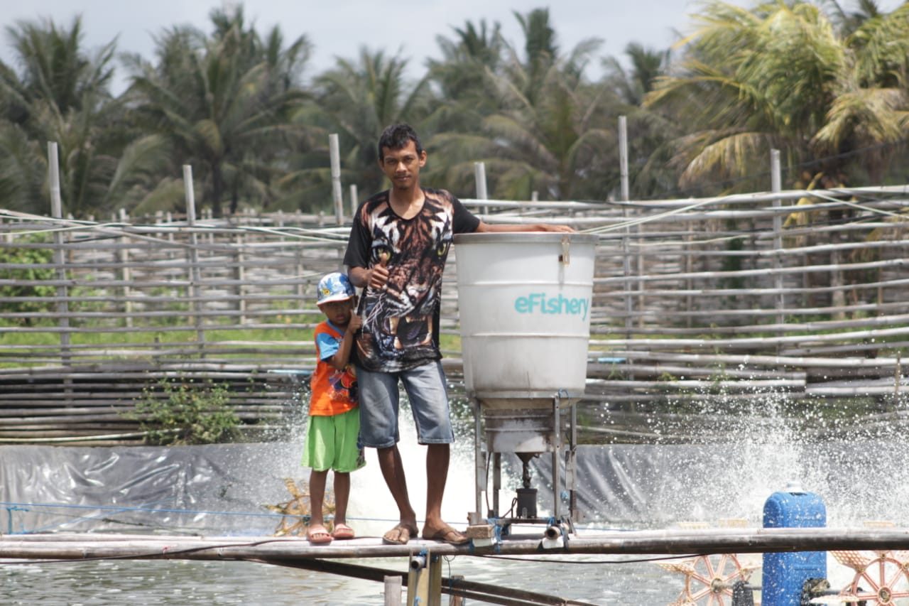 Indonesia's eFishery confirms Series B funding led by Go-Ventures, Northstar